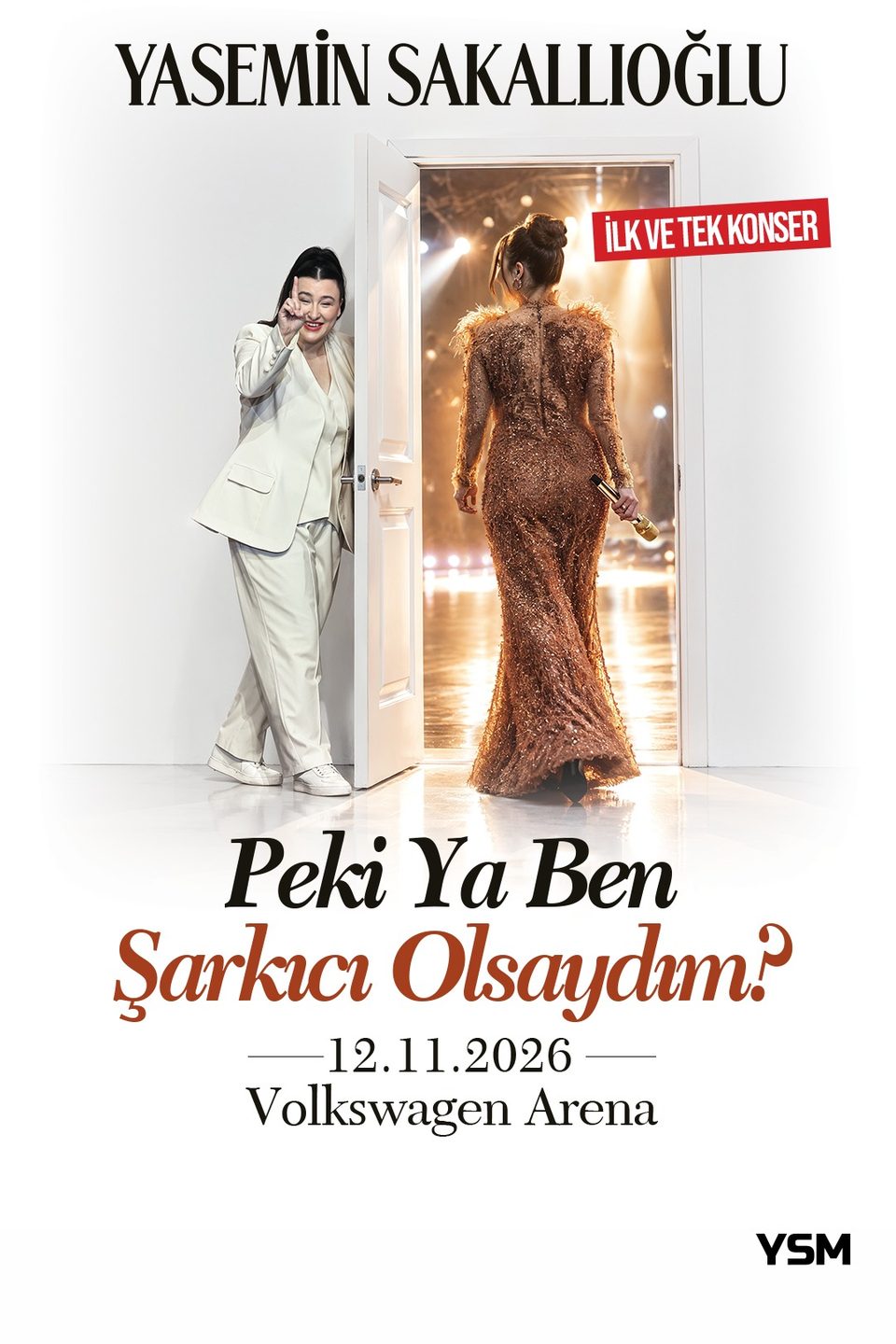 Peki Ya Ben Şarkıcı Olsaydım? afişi